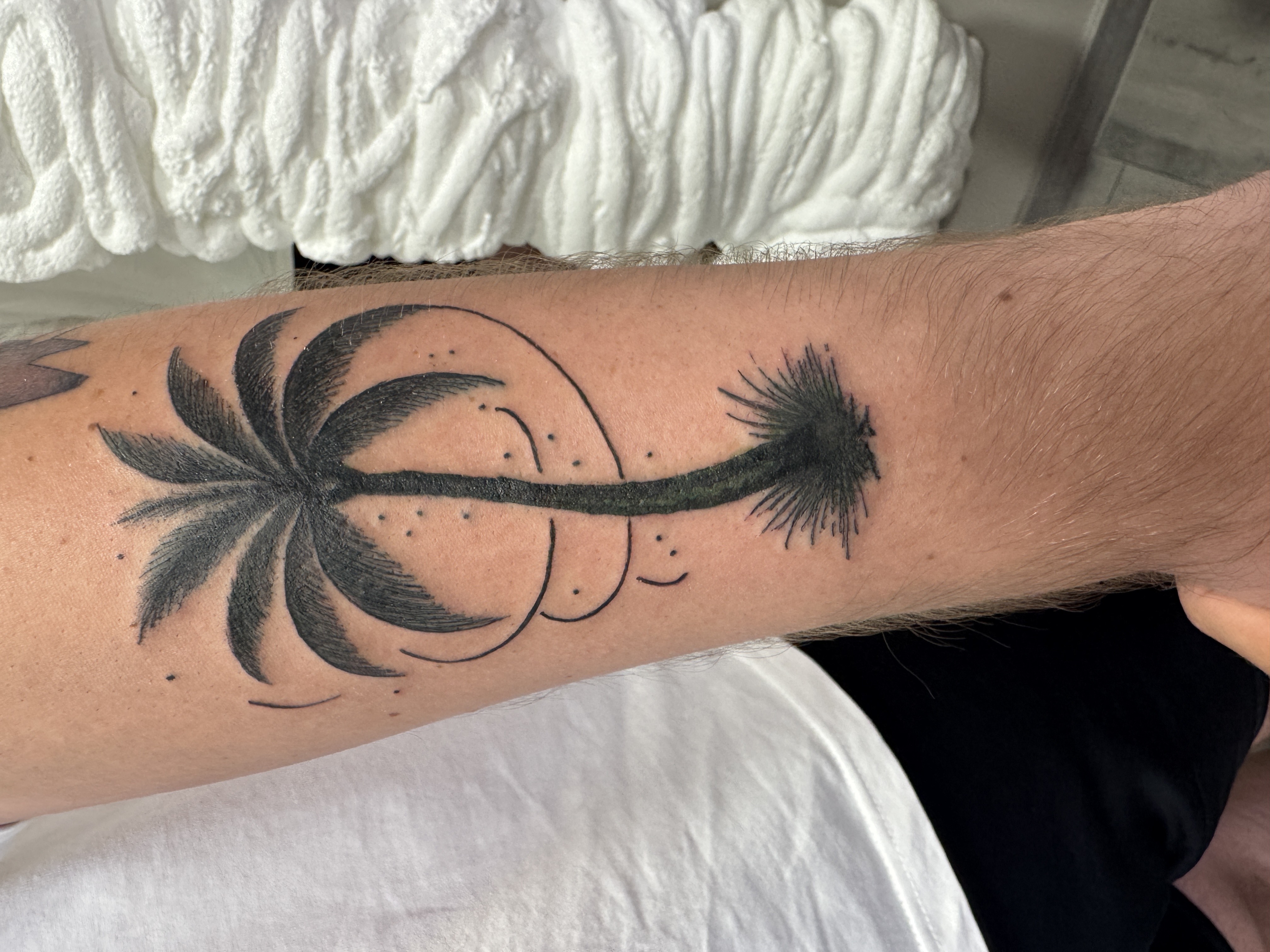 Mini tetovanie Piešťany – palma na predlaktí, Mya Beauty Studio